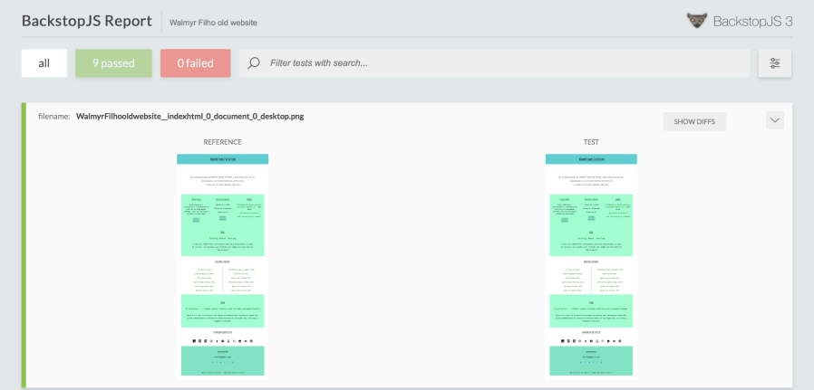 Relatório com todos os testes passando
